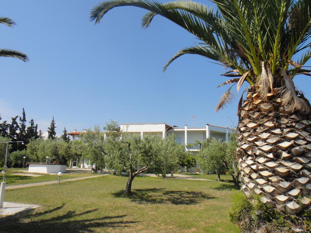 Afroditi Beach Gerakini Exterior photo