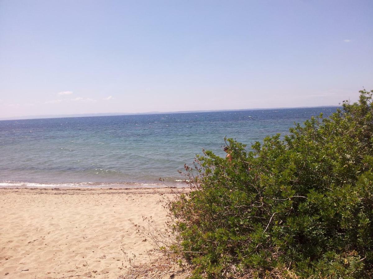 Afroditi Beach Gerakini Exterior photo